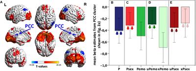 Glutamate in Salience Network Predicts BOLD Response in Default Mode Network During Salience Processing